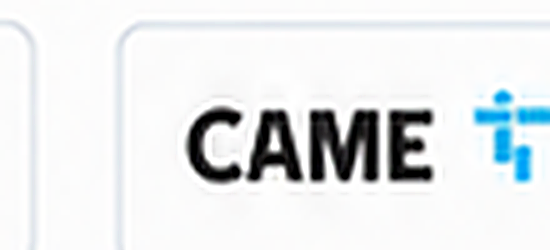 Came